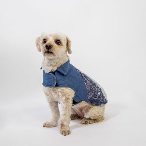 Little Hund Denim Vintage Fabric Dog Coat