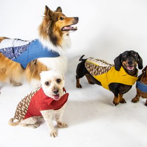 Little Hund Vintage Fabric Dog Coats